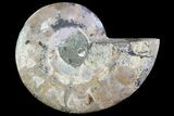 Agatized Ammonite Fossil (Half) - Madagascar #83837-1